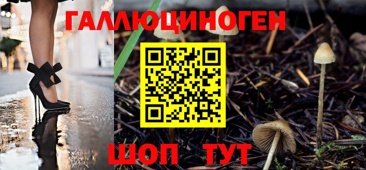 Балашов  Галлюциногенные грибы Psilocybine cubensis  Галлюциногенные грибы Psilocybe  Вход с VPN 